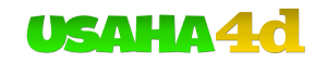 usaha4d